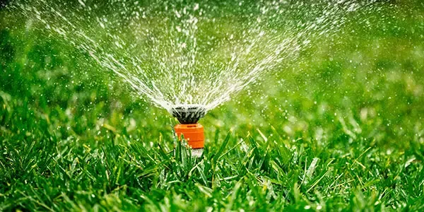 Irrigation can mean the difference between a yellow lawn and a green one!